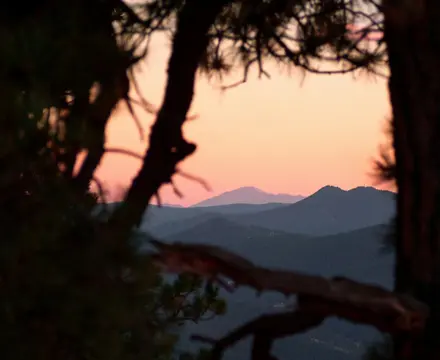 Image of a the mountains with the sun shining through a tree.