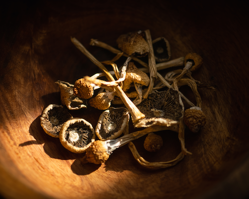 Collection of dried mushrooms with elongated stems and various cap sizes arranged in a rustic wooden bowl